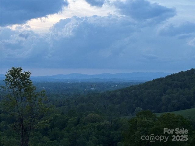 54 Herron View Ln, Weaverville, NC 28787 - view of mountain backdrop featuring a heavily wooded area