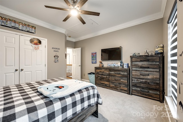 carpeted bedroom featuring a ceiling fan, ornamental molding, and a closet