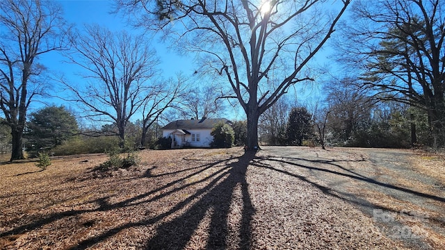 view of street with driveway