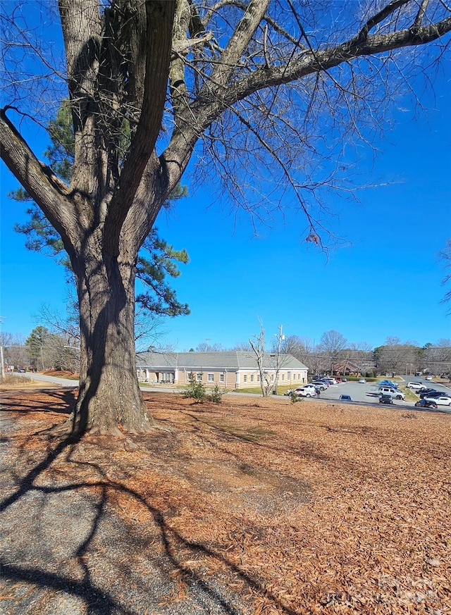 view of yard featuring a residential view