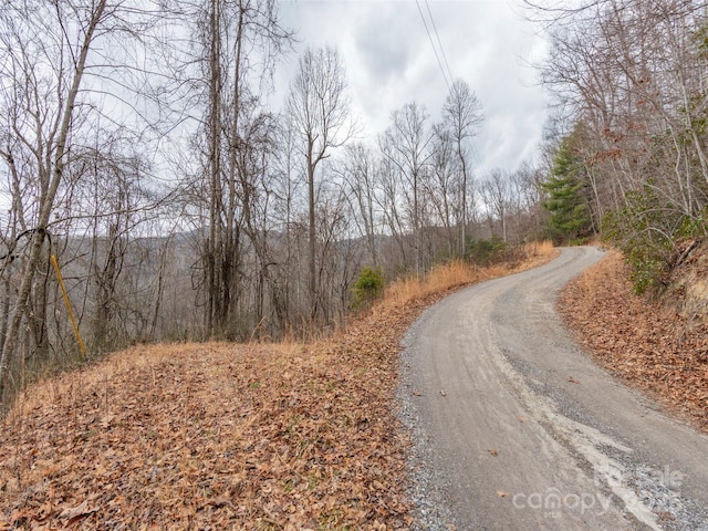 00 Cherry Berry Dr, Waynesville NC, 28785 land for sale