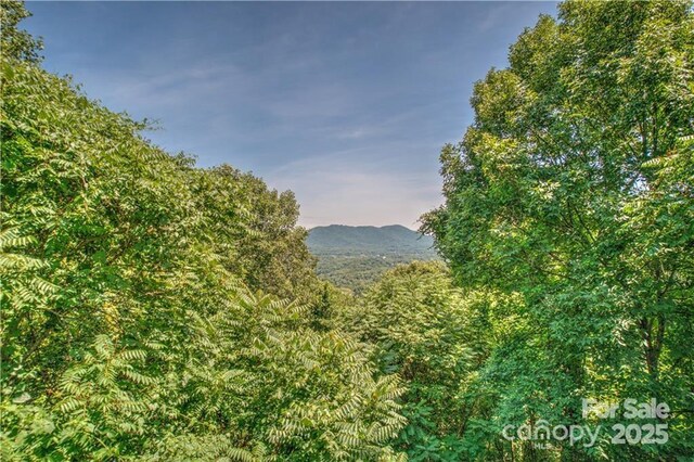 418 Windswept Dr, Asheville, NC 28801 - photo 6