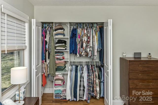 view of closet