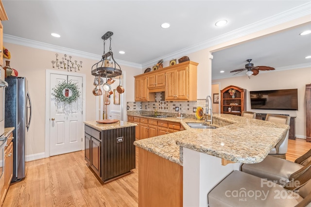 5101 Belicourt Dr, Charlotte, NC 28277 - kitchen with crown molding, freestanding refrigerator, a sink, and a peninsula