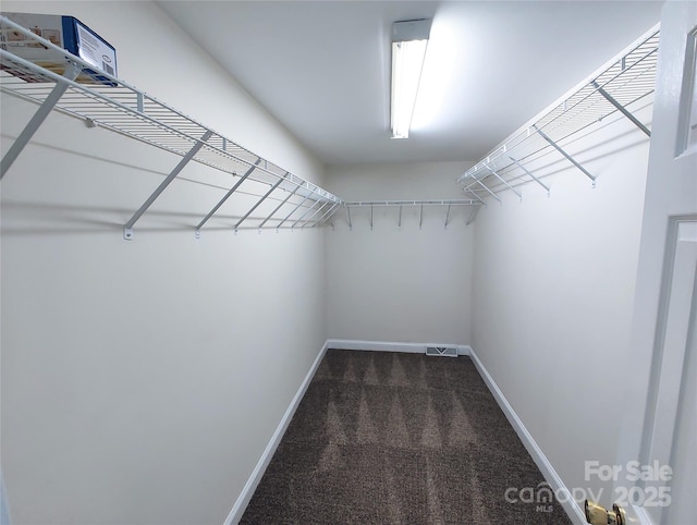 1806 Bringle Ferry Rd, Salisbury, NC 28146 - walk in closet with carpet and visible vents