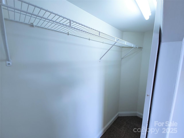 1806 Bringle Ferry Rd, Salisbury, NC 28146 - walk in closet featuring dark colored carpet