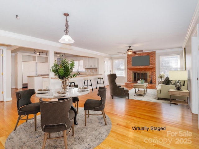 dining area with light wood-style flooring, a fireplace, a ceiling fan, and crown molding