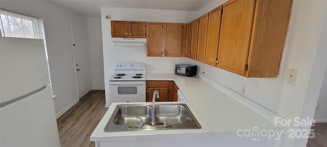 kitchen featuring under cabinet range hood, white appliances, a sink, light countertops, and brown cabinetry