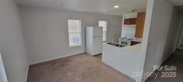 kitchen with brown cabinets, light countertops, light carpet, a sink, and white appliances