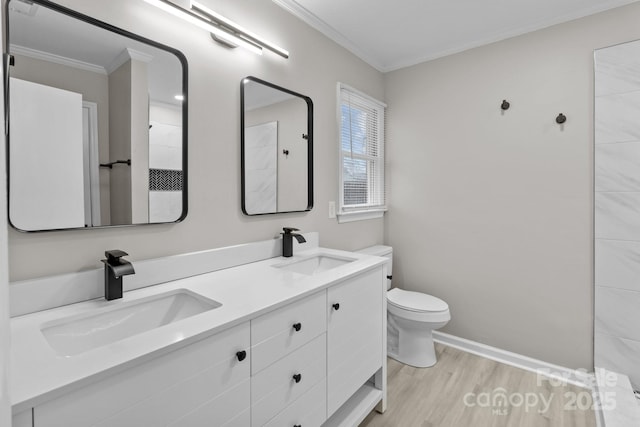 bathroom featuring ornamental molding, a sink, and double vanity