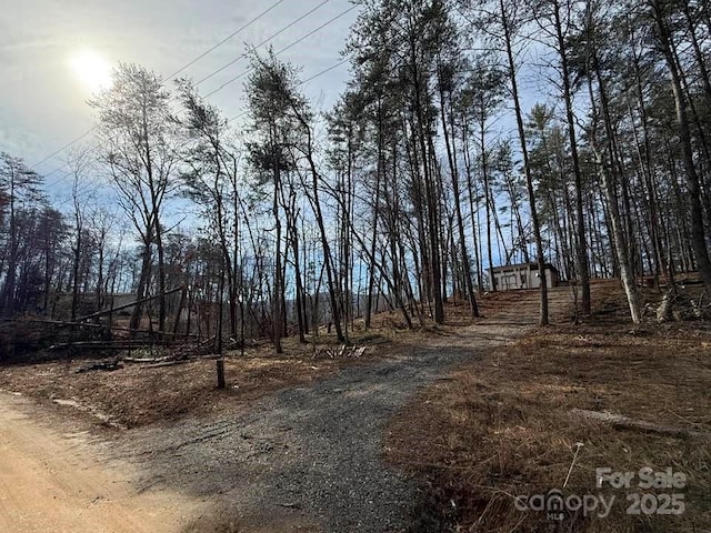 5 Kelly Ln Unit 5, Mill Spring NC, 28756 land for sale