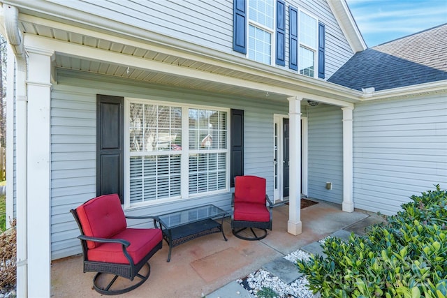 view of patio / terrace with a porch