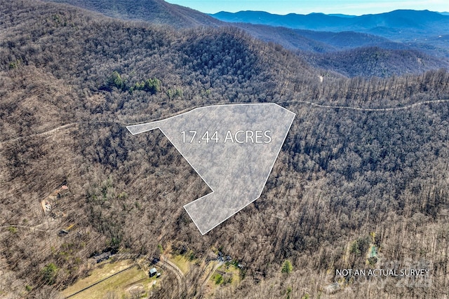 TBD Ox Creek Road, Weaverville NC, 28787 land for sale