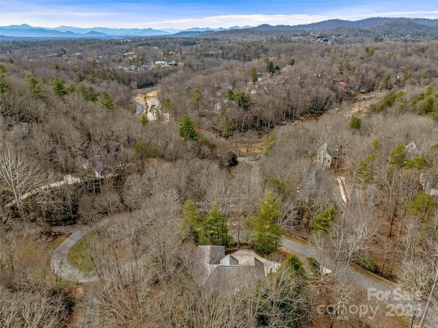 drone / aerial view featuring a mountain view