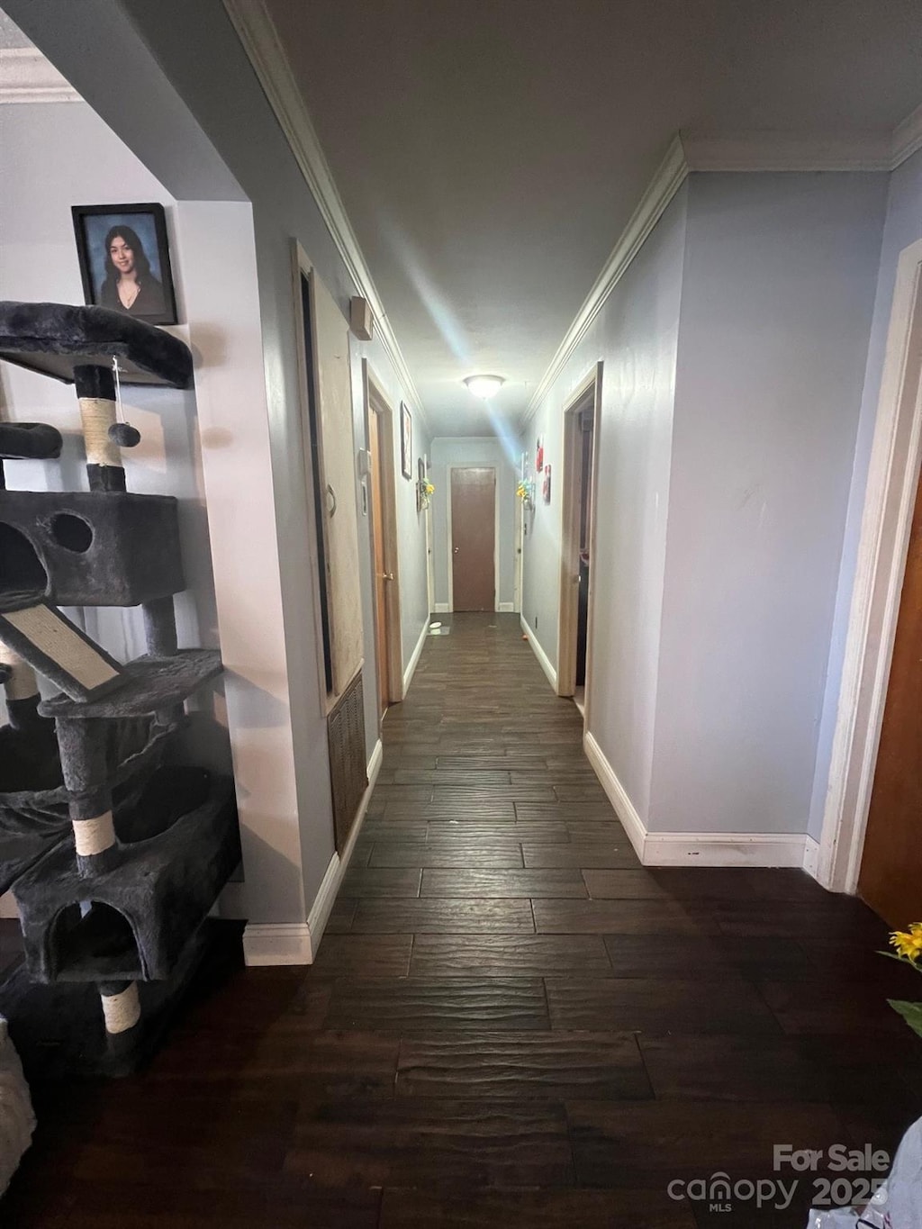 hall featuring baseboards, dark wood-style flooring, and crown molding