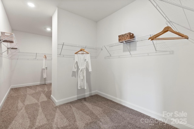 walk in closet with carpet floors