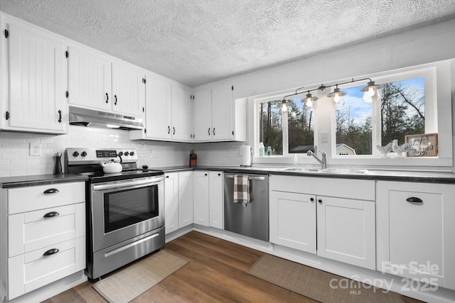 kitchen featuring dark wood-style flooring, stainless steel appliances, dark countertops, a sink, and under cabinet range hood