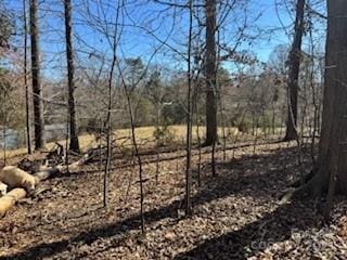 Listing photo 2 for 0 Rock Hole Rd, Stanfield NC 28163