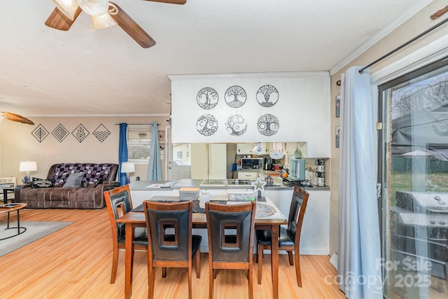 dining area featuring light wood-style floors, crown molding, and ceiling fan