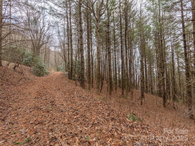 00 Bald Creek Rd, Clyde NC, 28721 land for sale