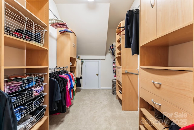 spacious closet with light colored carpet