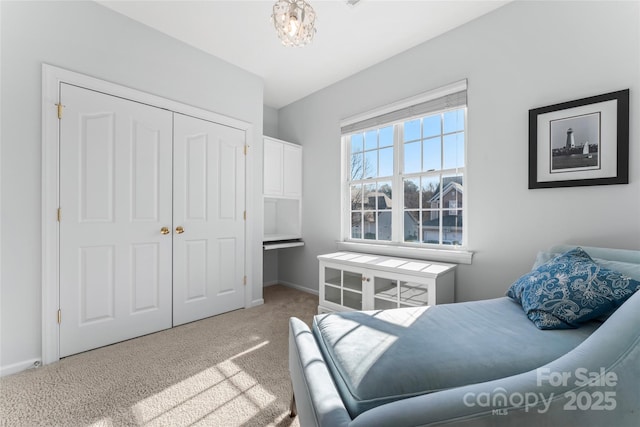 bedroom featuring carpet floors, a closet, and baseboards