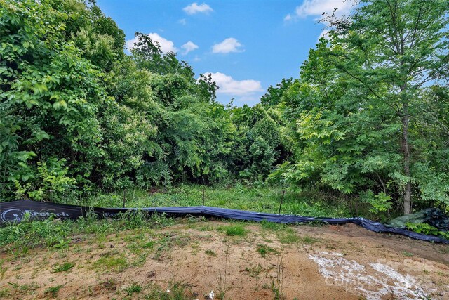 425 Messner St, Salisbury, NC 28144 - view of yard