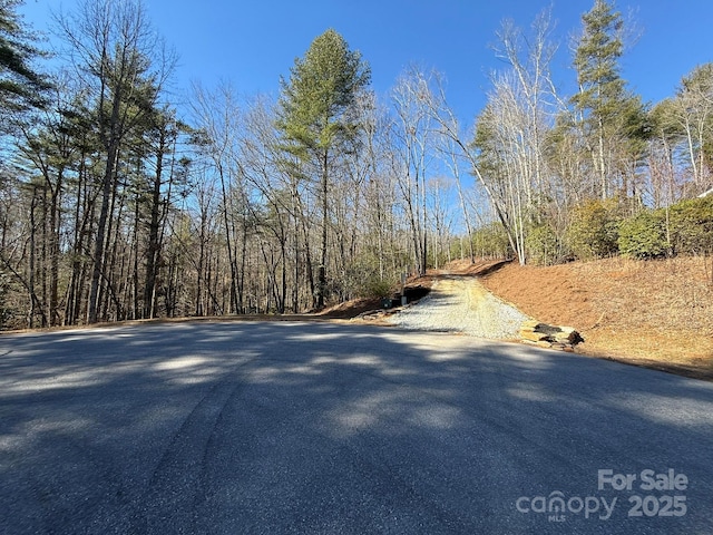 355 Oxford Ct, Brevard NC, 28712 land for sale