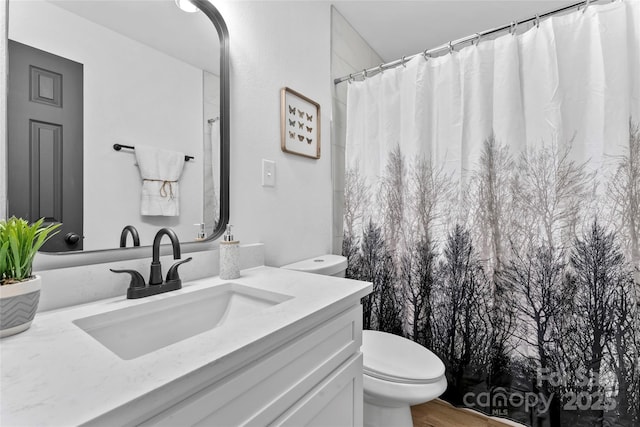 bathroom with vanity, toilet, and wood finished floors