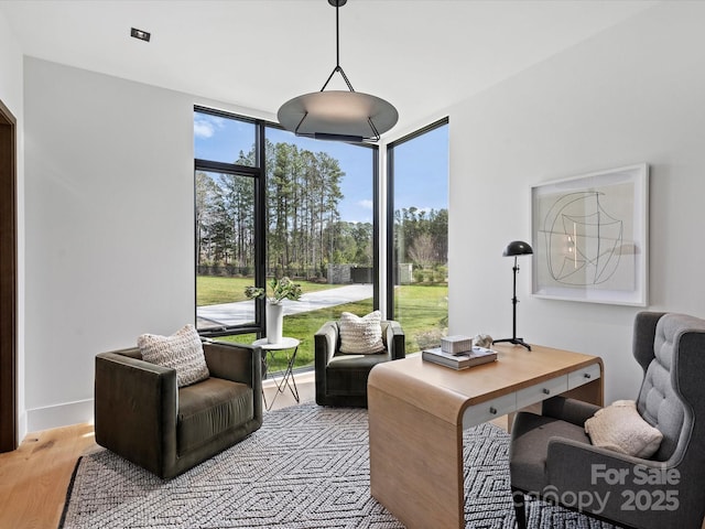 office space featuring a wall of windows and light wood-style flooring