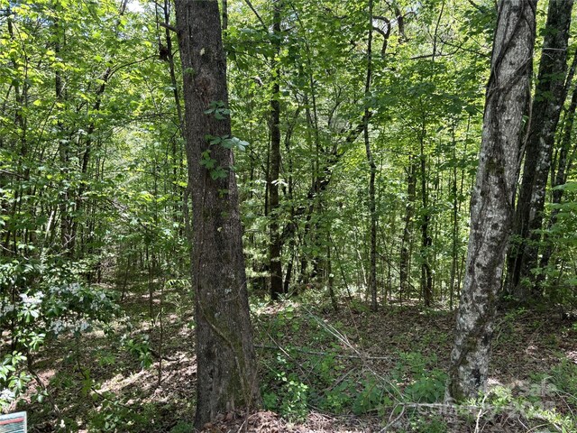 87 Stepp Ridge Ct, Hendersonville, NC 28792 - photo 6