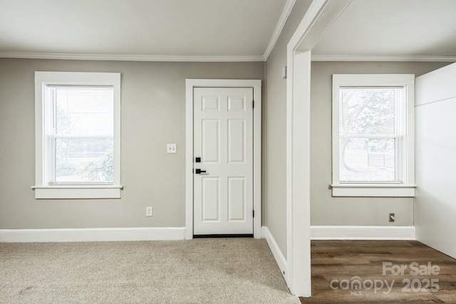 entryway with a healthy amount of sunlight, baseboards, dark colored carpet, and crown molding