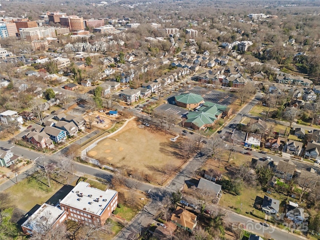 bird's eye view