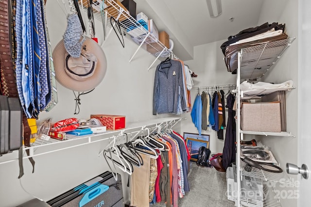 spacious closet featuring carpet flooring