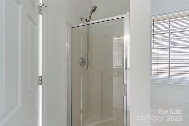 bathroom with a shower stall