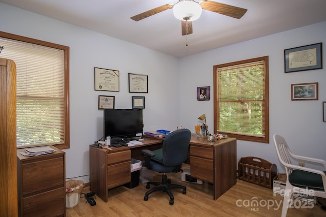 office area featuring plenty of natural light, light wood finished floors, and ceiling fan