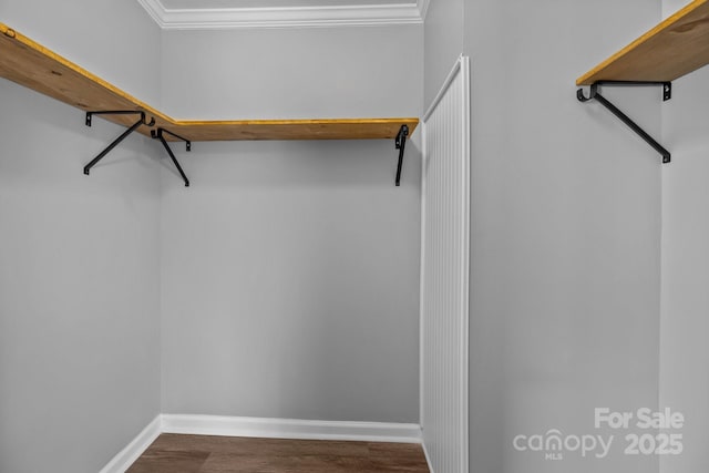 walk in closet featuring dark wood-style flooring