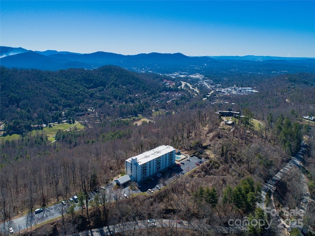 647 Town Mountain Rd Unit 106, Asheville, NC 28804 - photo 1
