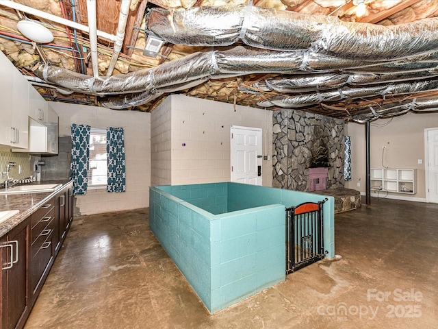 basement with a sink