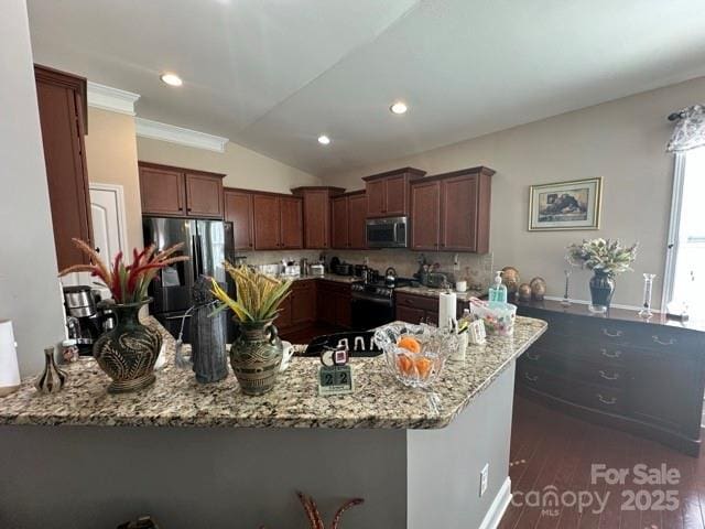 kitchen featuring lofted ceiling, light stone counters, a peninsula, dark wood-style flooring, and appliances with stainless steel finishes