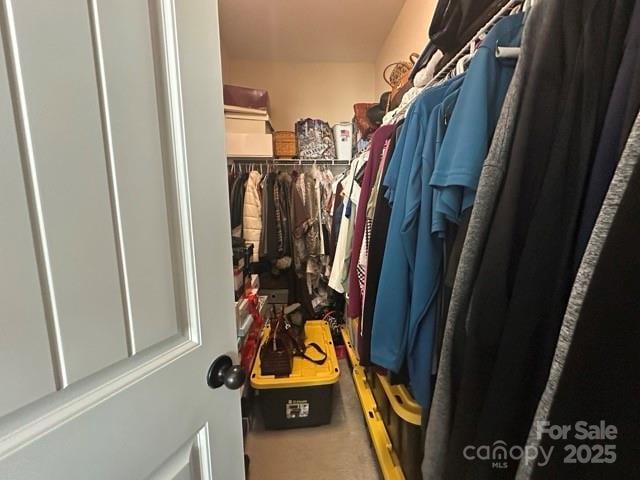 view of walk in closet