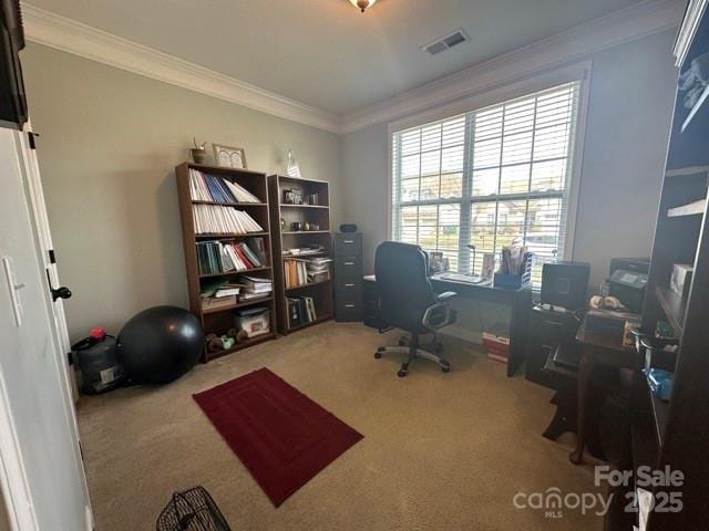 carpeted office with ornamental molding and visible vents