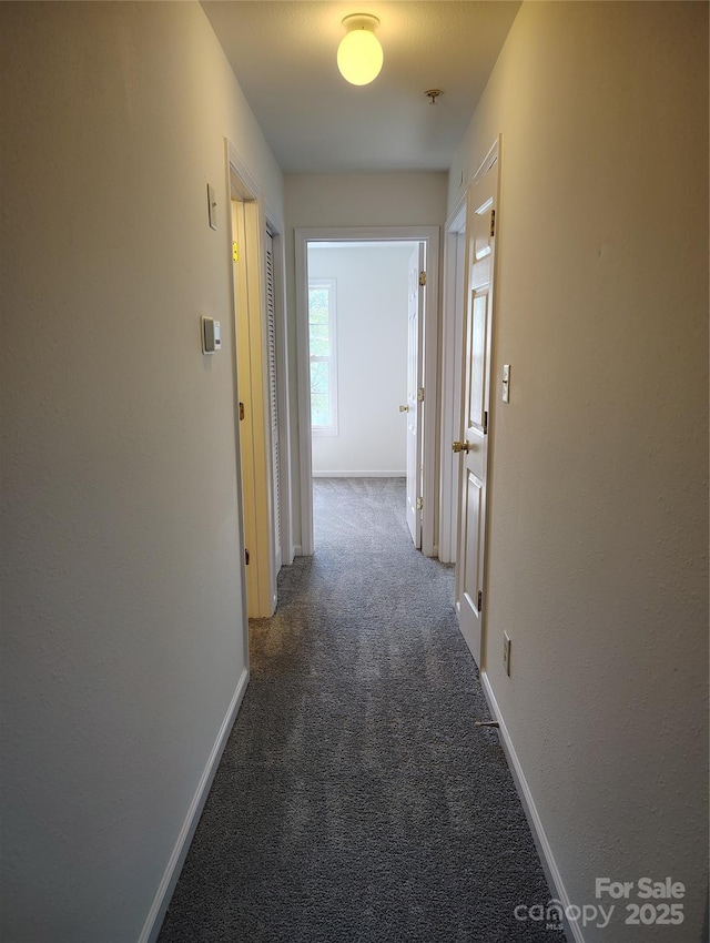 1068 Plaza Walk Dr, Charlotte, NC 28215 - photo 18