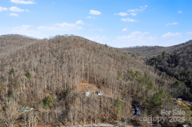 property view of mountains with a view of trees