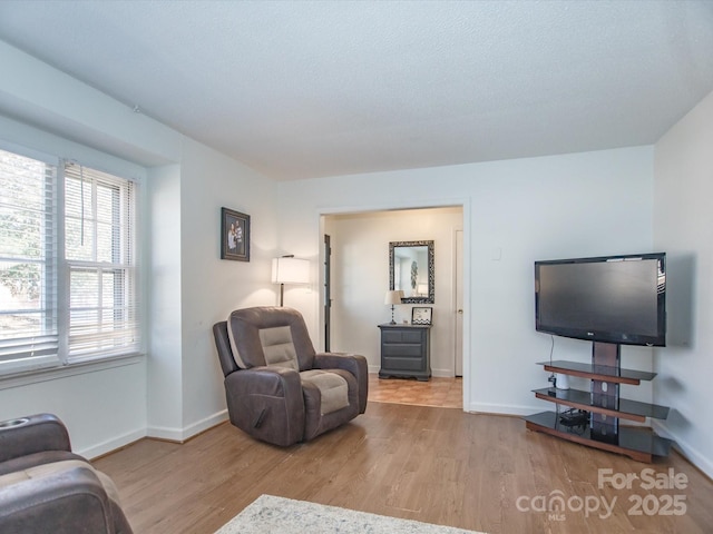 living room with baseboards and wood finished floors