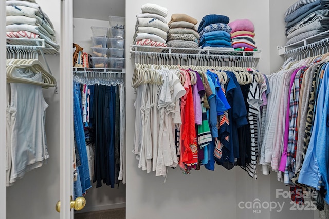 view of spacious closet