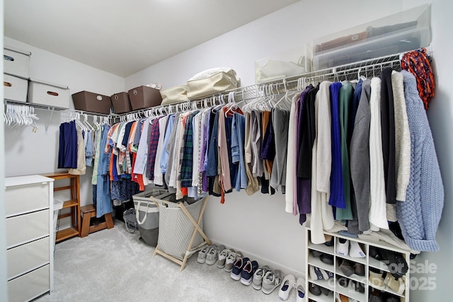 walk in closet with light colored carpet