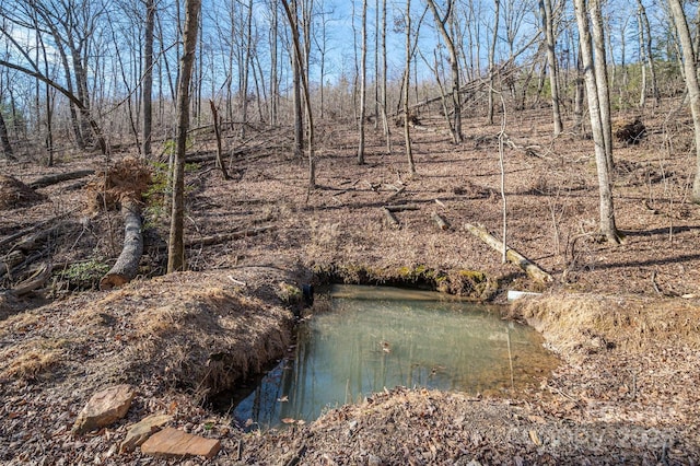 view of water feature