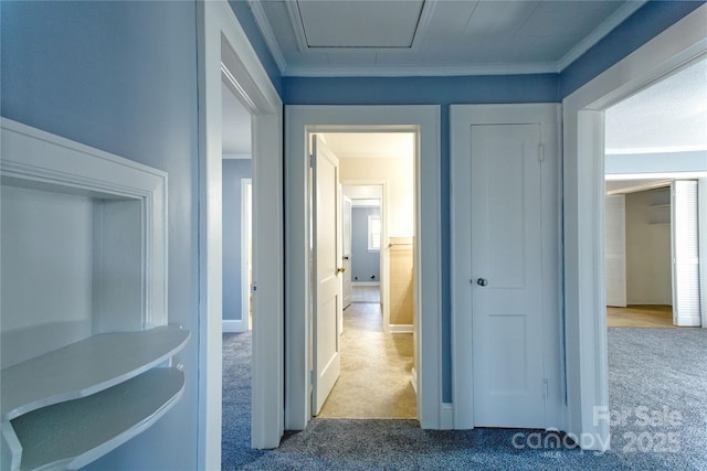 hall with carpet floors and ornamental molding