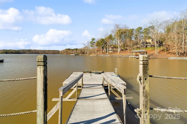 dock area featuring a water view